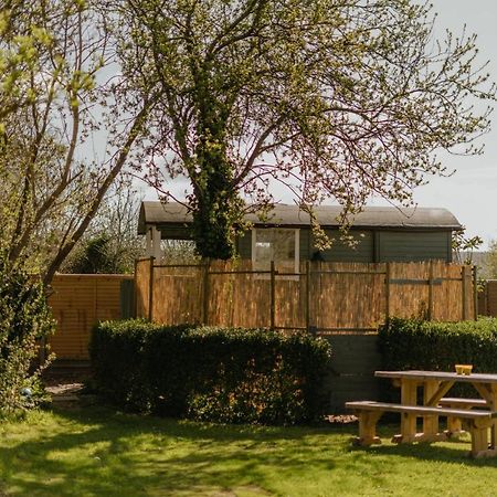 Little England Retreats - Cottage, Yurt And Shepherd Huts Othery 외부 사진
